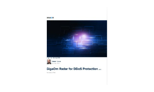 Radar gigaom pour la protection DDOS